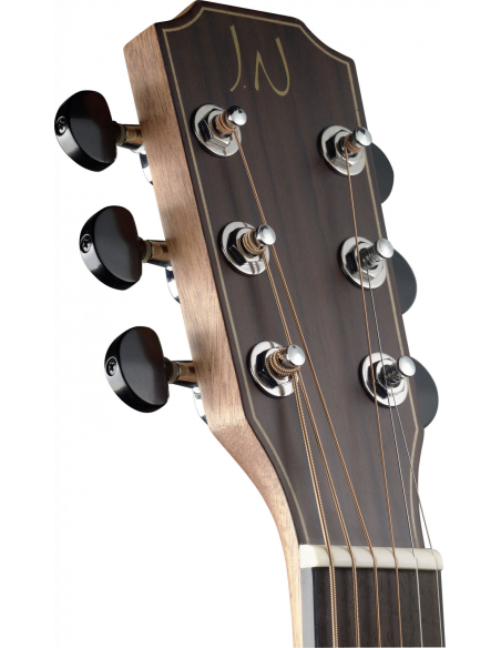 JN Guitars DEV-PFI