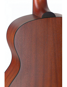 JN Guitars DEV-A MINI 2020... 2