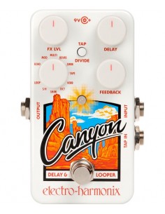 Electro-Harmonix Nano Canyon