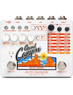 Electro-Harmonix Grand Canyon Delay and Looper