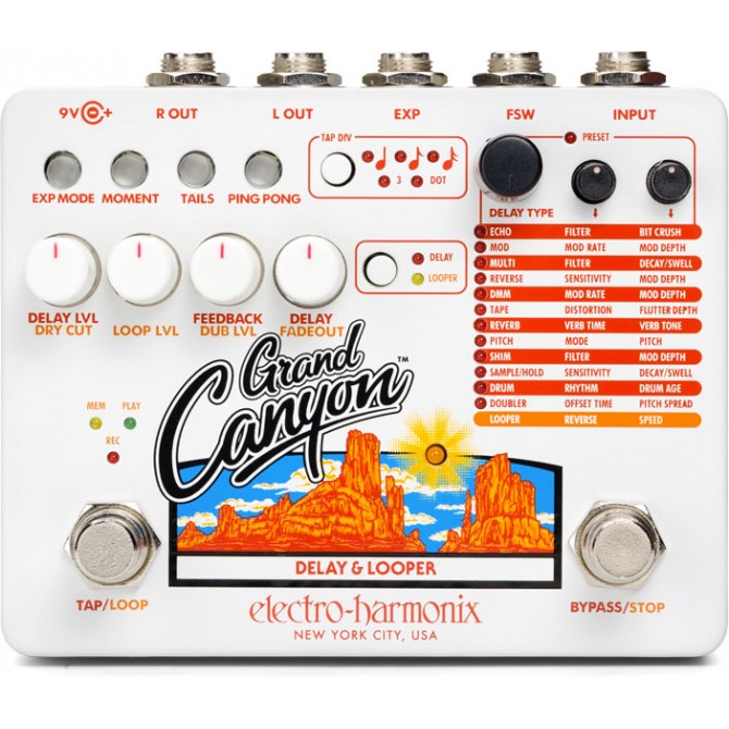 Electro-Harmonix Grand Canyon Delay and Looper