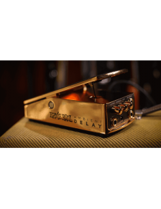 Ernie Ball Expression Series Ambient Delay Pedal