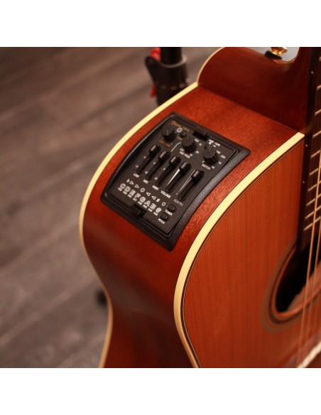 Takamine TAN10CR