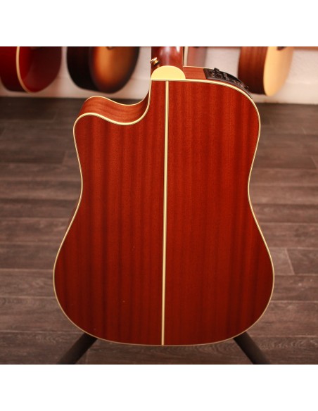 Takamine TAN10CR