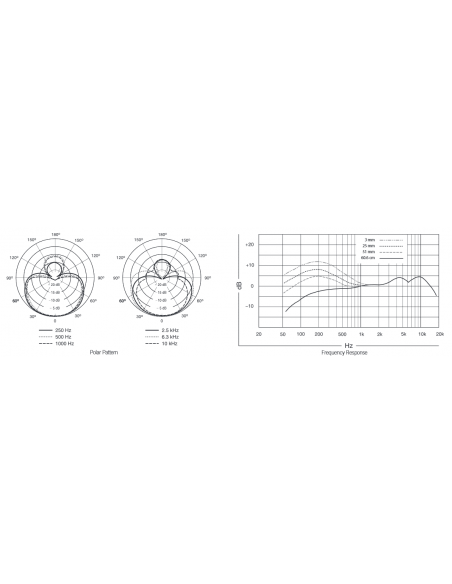 Shure BETA 58A Handheld Supercardioid Dynamic Microphone