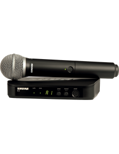 SHURE BLX24 / PG58-M17