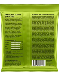 Ernie Ball 2221 Regular... 2