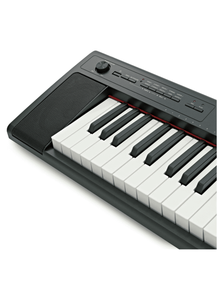 Yamaha Piaggero NP-32