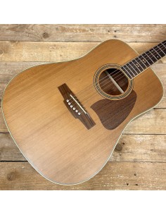 Ibanez Artwood AW85 RLG + Case