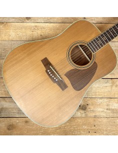 Ibanez Artwood AW85 RLG + Case 2