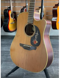 Takamine EN-10C 2