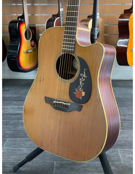 Takamine EN-10C