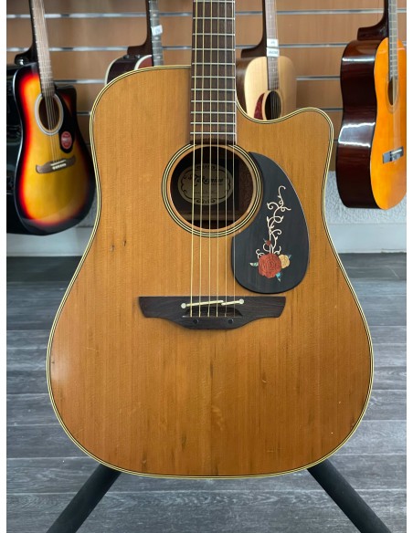 Takamine EN-10C