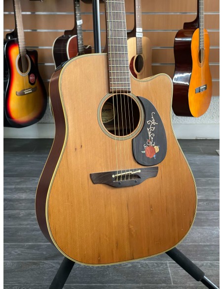 Takamine EN-10C