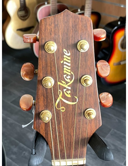 Takamine EN-10C