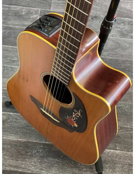 Takamine EN-10C