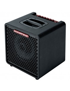 Ibanez Promethean P3110 2