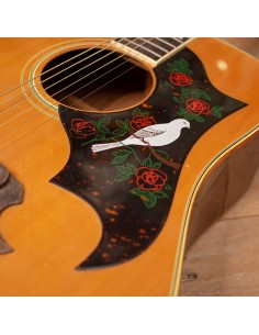 IBANEZ SN 693 70S Concorde 2