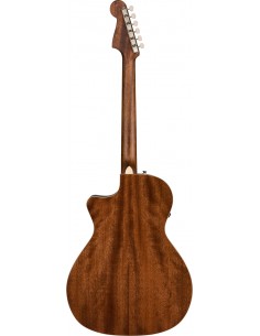 FENDER Newporter ACB 2