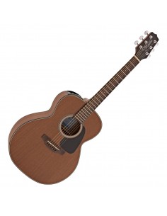 Takamine GD2OCE NS 2