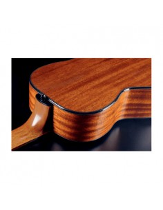 Lag Takamine Guitare... 2