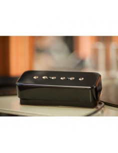 SEYMOUR DUNCAN Electric... 2