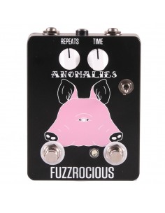 FUZZROCIOUS Anomalies